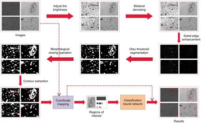 Toward efficient deep learning system for in-situ plankton image recognition